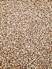 peanuts in the market