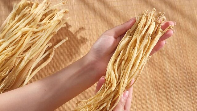 Female hand shot holding dried root of pilose asiabell in hand, blurred background with dried root of pilose asiabell placed on brown bamboo mosaic. Traditional Chinese medicine