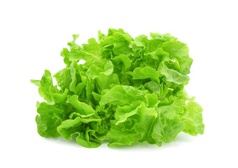 Fresh green salad lettuce isolated on transparent background. PNG