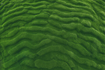 Dense green grass texture, high resolution. Perfect lawn, top view. Natural background of fresh green grass. Easter background concept. Springtime nature pattern. Copy space. Generative AI