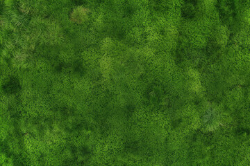 Dense green grass texture, high resolution. Perfect lawn, top view. Natural background of fresh green grass. Easter background concept. Springtime nature pattern. Copy space. Generative AI