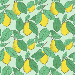 tropical yellow lemon seamless pattern. hand drawn sketch illustration.