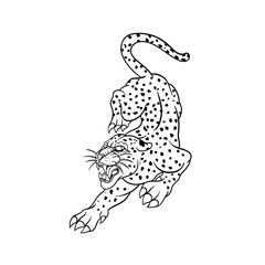 Hand drawn illustration of traditional leopard tattoo outline © ydhckll