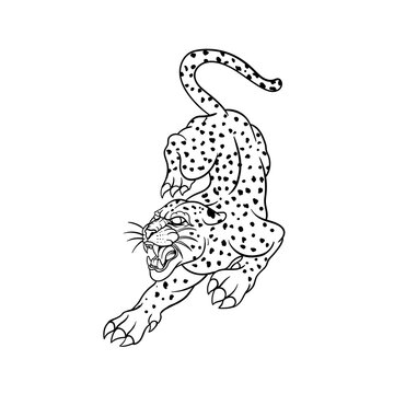 Hand drawn illustration of traditional leopard tattoo outline