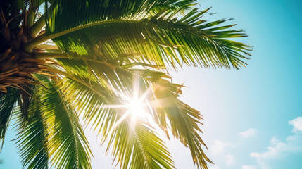 Plakat Palm tree sunny background. Illustration AI Generative.