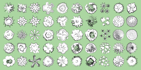 Vector set. Trees top view. Different plants and trees vector set for architectural or landscape design. (View from above) Linear sketch.