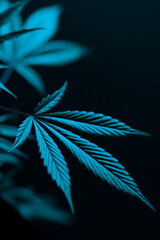 Close-up cannabis plant in moonlight, cyan tint, vertical format