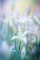 Beautiful close-up of white lily flowers, made with generative AI