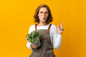 Young Georgian woman holding a plant isolated on yellow background intending to realizes the solution while lifting a finger up