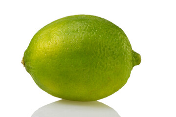 Isolated green lemon (lat. Citrus) - 