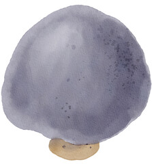 autumn mushroom watercolor png