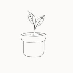 Vector linear sketch house plant illustration. houseplants, indoor and office plants in pot. Hand drawn tropical house plants. Scandinavian style illustration, modern and elegant home decor.