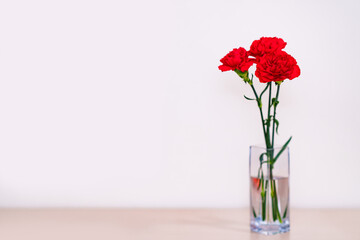 真赤な カーネーション の 花 【 母の日 の イメージ 】