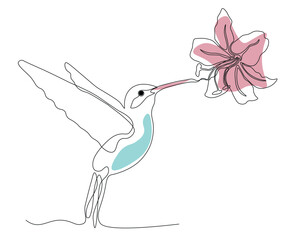 abstract Hummingbird Drinks nectar from a Flower, Continuous One Line Drawing, Beauty Salon Logo
