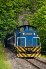 トンネルから出る貨物列車