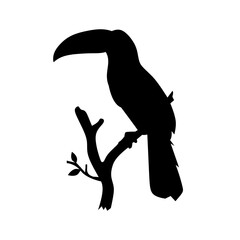 illustration of a bird 