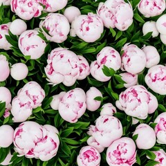 Bouquet of peonies. Spring flowers. Generative AI.