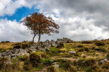 Fototapeta na wymiar Views walking towards Wistman's Wood, Dartmoor, Devon, England