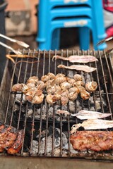 shish kebab on the barbecue