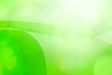 Soft light green background with curve pattern graphics for illustration.