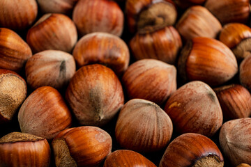 hazelnuts on the dark background