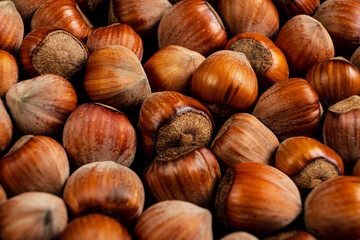 hazelnuts on the dark background