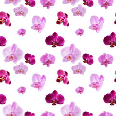 Fototapeta na wymiar Beautiful seamless pattern of orchid flowers. Orchids pattern for design, isolated.