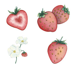 strawberry
клубника