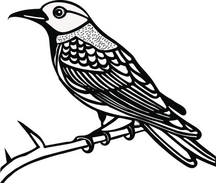 recommend clip art: bird on line art