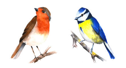 Fototapeta premium Birds isolated on white background