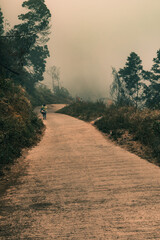 Misty sunrise over amazing desert volcanic landscape of Bromo and Batok volcanos, Java, Indonesia