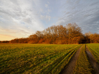 Landschaft im NSG Grettstädter Riedwiesen im Abendlicht, Landkreis Schweinfurt, Unterfranken, Bayern, Deutschland