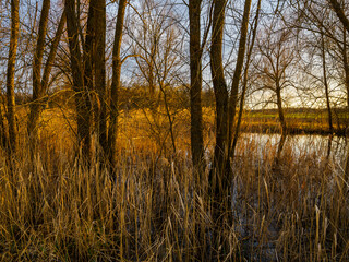 Sonnenuntergang am See