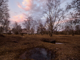 Dolinen im NSG Grettstädter Riedwiesen im Abendlicht, Landkreis Schweinfurt, Unterfranken, Bayern,...