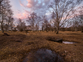 Dolinen im NSG Grettstädter Riedwiesen im Abendlicht, Landkreis Schweinfurt, Unterfranken, Bayern,...