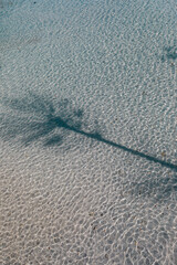Palm's shadow on a shallow water on  Karimunjava tropical island, Indonesia