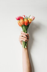 Female hand holding flowers bouquet of tulips over white background. Top view of minimalist style...