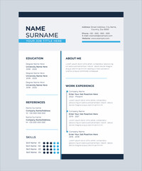 Professional business resume template. Vector illustration. Eps 10. Blue background.