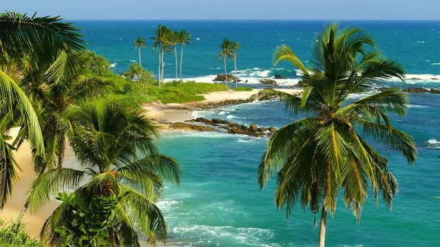 Beautiful landscape with sea waves on tropical beach and coconut palms, 4k