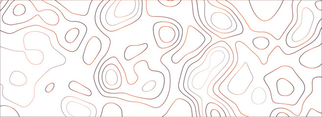 Topographic map background concept. Vector abstract illustration. Geography concept. The stylized height of the topographic map contour in colorful lines and contours on gray background.