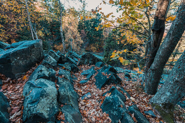 Boulder fields near Mount Lysica (Łysica) in Holy Cross Mountains, Poland