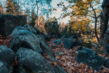 Boulder fields near Mount Lysica (Łysica) in Holy Cross Mountains, Poland