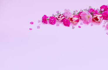 Naklejka na ściany i meble beautiful spring flowers on purple background