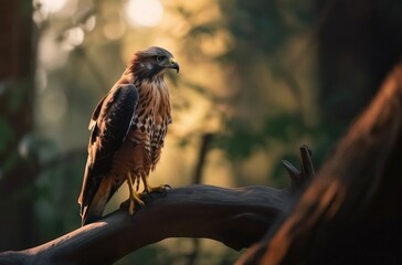 Single hawk sits on the tree branch in the forest. Portrait of a majestic bird of prey in nature. Generative AI.