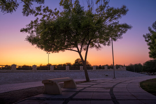 sunset in the park