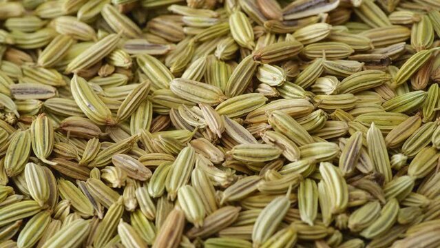 Fennel seeds. Dry fennel seed fall down, macro close up.