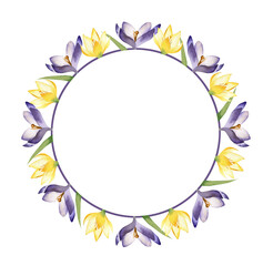 Fototapeta na wymiar Watercolor wreath with spring flowers crocuses on white background. Floral frame