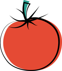 Tomato on isolated white background.