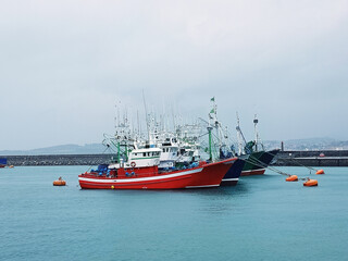 Fisher Port in Basque Country Hondarribia