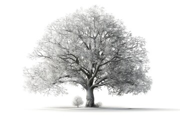 Fototapeta na wymiar monochromatic photograph featuring a solitary tree. Generative AI